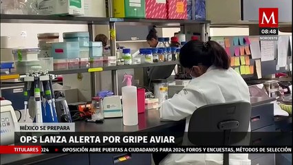 Ante alerta de OPS por gripe aviar México se prepara para evitarla