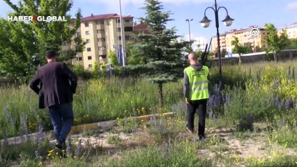 Vatandaşlar 2 saat boyunca kovaladı! "Kurban yakalama timi" devreye girdi, büyükbaş böyle yakalandı