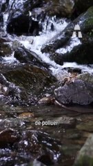 Ce Filtre de Machine à Laver Capture les Microfibres ! 