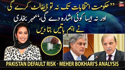"Govt will neither default nor give any such indication until elections," Meher Bokhari