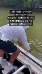 Pescador mordido por tubarão quando lavava as mãos na água