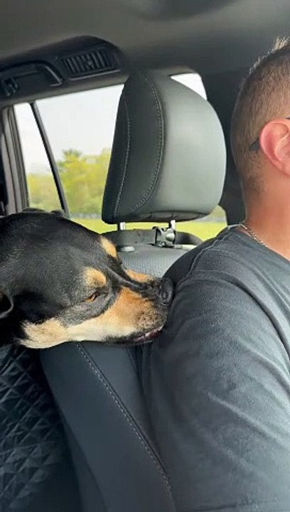 Road Trip Love Bites