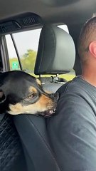 Road Trip Love Bites