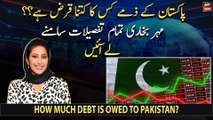 How much debt is owed to Pakistan? Meher Bokhari reveals complete details