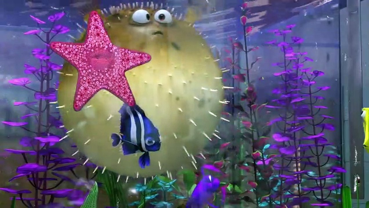 Dieses Krokodil muss mit Haien leben!