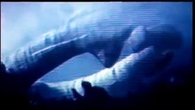 에이리언 (Alien, 1987)
