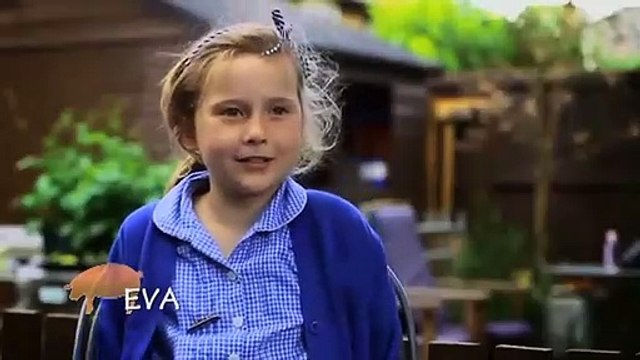 Combat de mini cochons ! - ZAPPING SAUVAGE