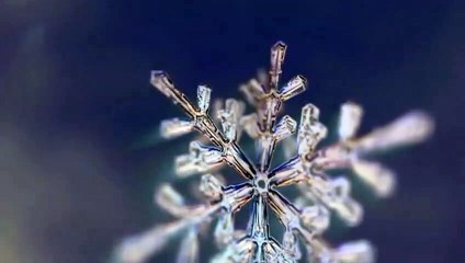 Qu'est-ce qu'une aurore boréale  - ZAPPING SAUVAGE 55