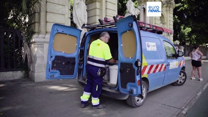 La ola de calor se cobra su primera víctima mortal, un agricultor en Alnazcóllar, Sevilla