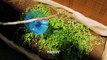 Gardening Hacks For Beginners And Experts