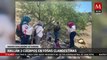 Localizan tres cuerpos en fosa clandestina por madres buscadores en Sonora