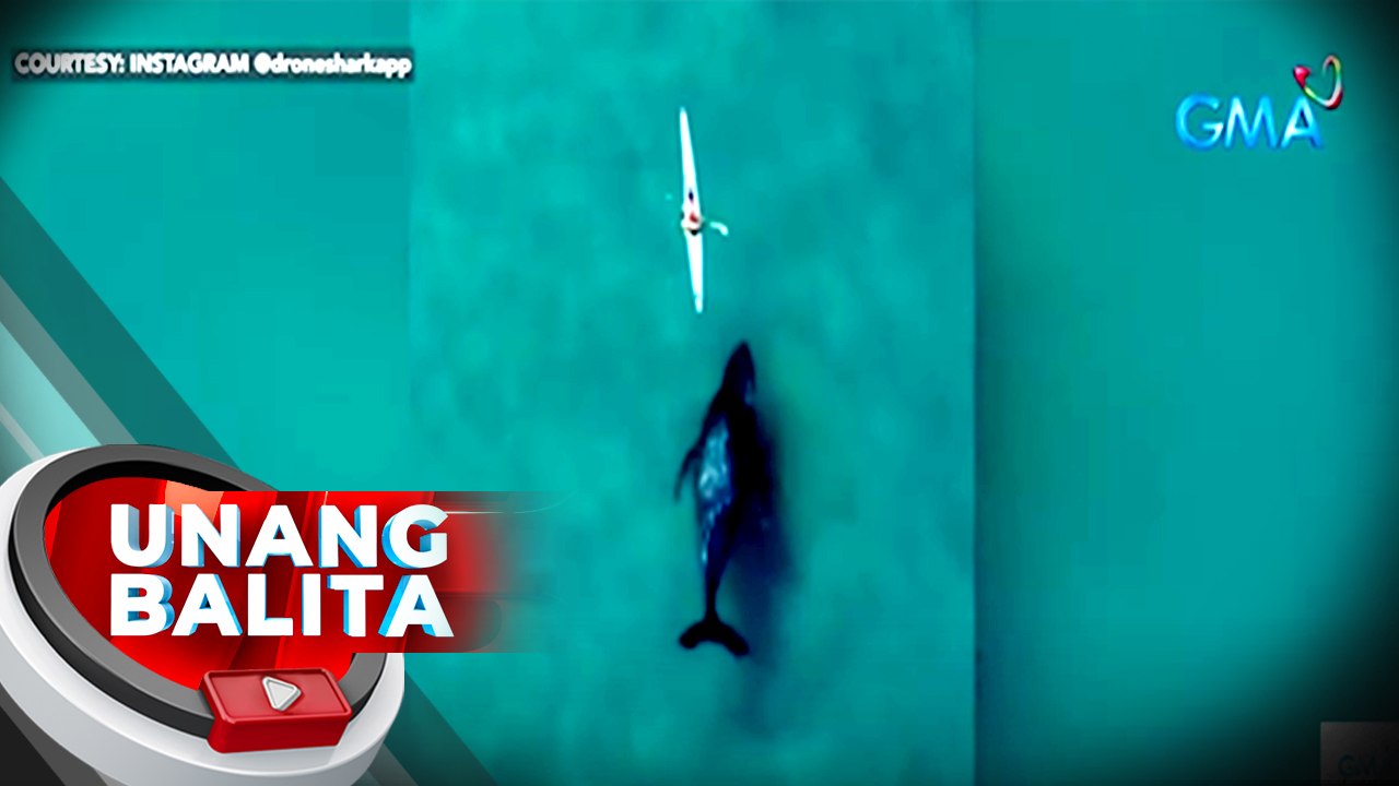 Humpback whale, tila sinusundan ang isang nagka-kayak sa Bondi Beach, Sydney, Australia | UB