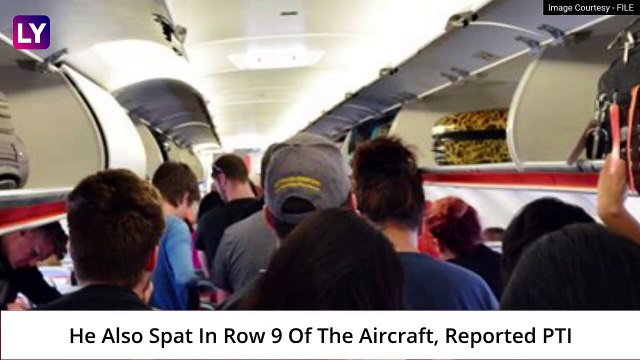 Air India Passenger Urinates, Defecates Mid-Air: Flyer On Mumbai-Delhi Flight Arrested