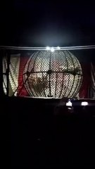 Motociclistas colidem durante apresentação no 'globo da morte'