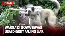 Warga Gowa Tewas Usai Digigit Anjing Liar yang Berkeliaran di Sekitar Rumahnya