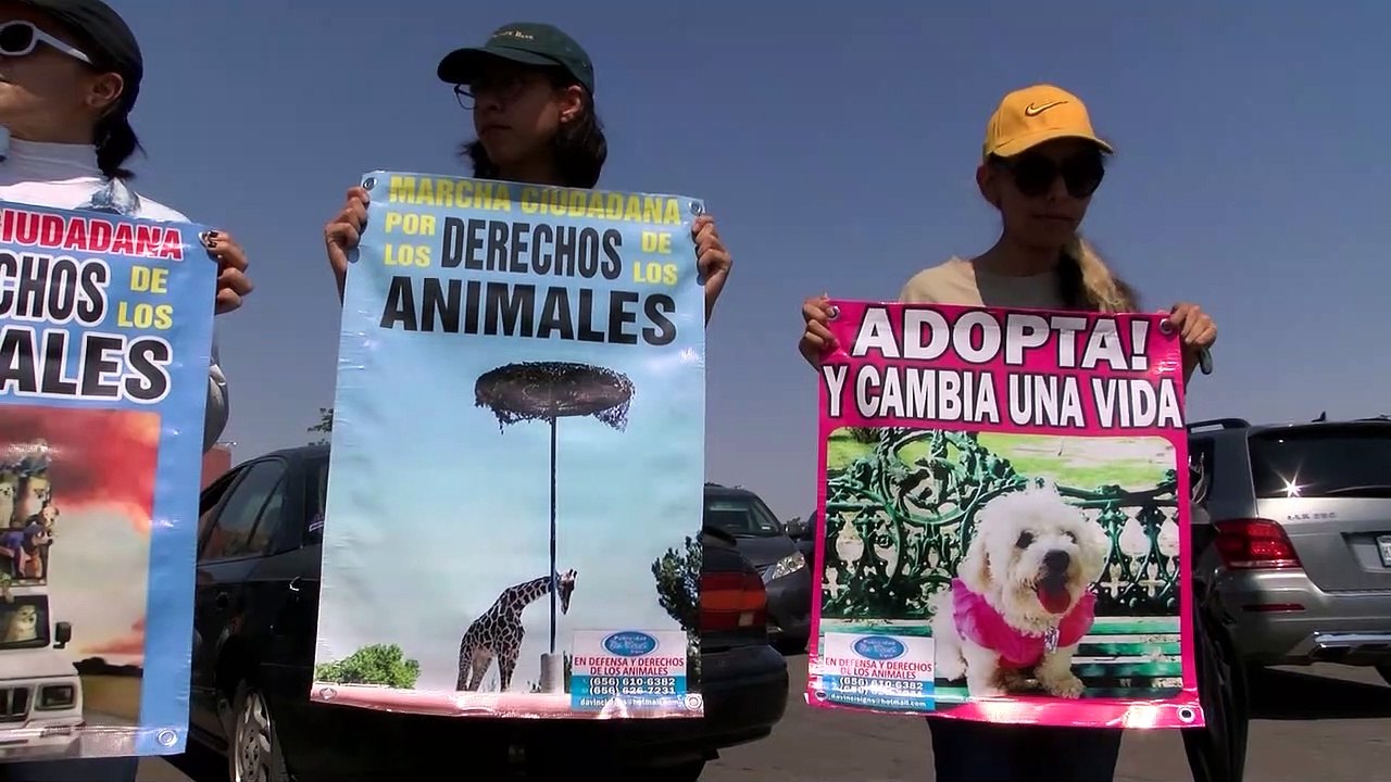 JZ MARCHA POR JIRAFA BENITO PKG 25JUNIO2023