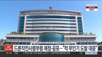 드론작전사령부령 제정·공포…"적 무인기 도발 대응"