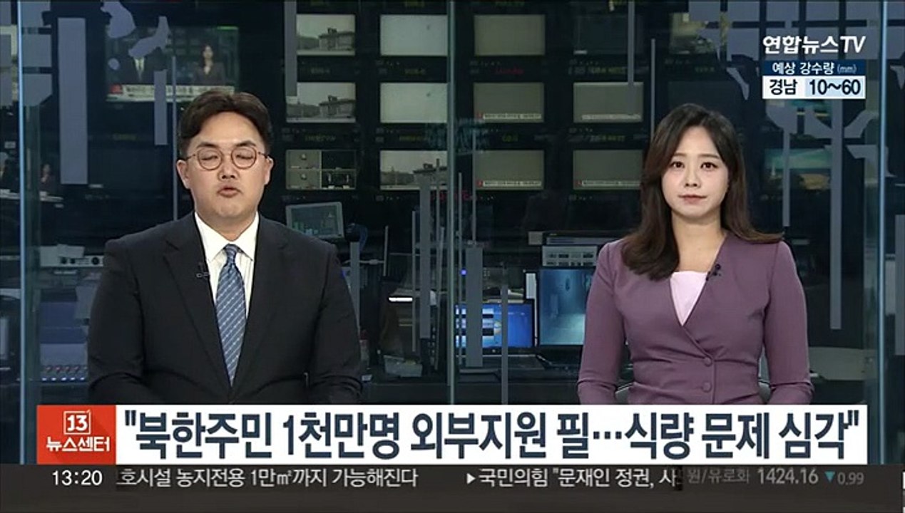 "북한 주민 1천만명 이상 인도적 지원 필요…식량문제 심각"