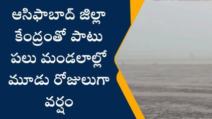 ఆసిఫాబాద్: జిల్లా కేంద్రంతో పాటు పలు మండలాల్లో మూడు రోజులుగా వర్షం