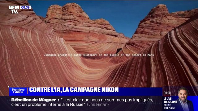 Intelligence naturelle ; la campagne de Nikon en opposition à l'intelligence artificielle