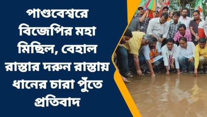 পশ্চিম বর্ধমান: বিজেপির মহা মিছিল, বেহাল রাস্তায় ধানের চারা পুঁতে প্রতিবাদ