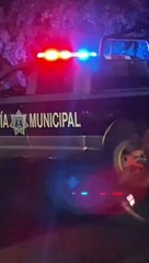 Un hombre murió atropellado por el tren en Tlaquepaque