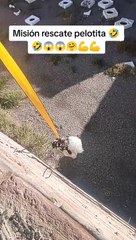 ¡Increíble! Perrita sorprende con su destreza para recuperar su pelotita