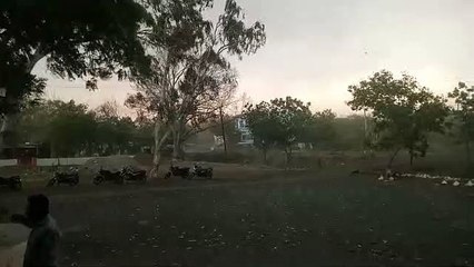 आसमान पर मंडराते बादलों के बरसने का इंतजार, अंचल में झमाझम