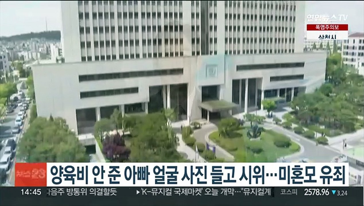 양육비 안 준 아빠 얼굴사진 들고 시위…미혼모 유죄