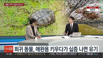 [뉴스현장] 악어 이어 표범 출몰?…영주, '표범 발자국' 소동
