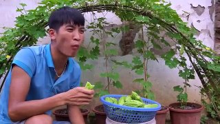 Recycling kitchen waste to grow bitter melon at home, I didn't expect so many f