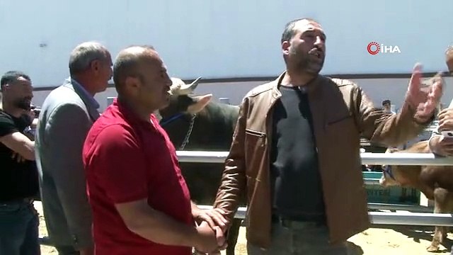 Erzurum Hayvan Pazarında Kurbanlık Hareketliliği