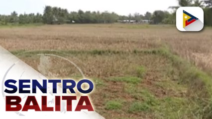 El Niño, posibleng ideklara sa bansa ngayong Hunyo