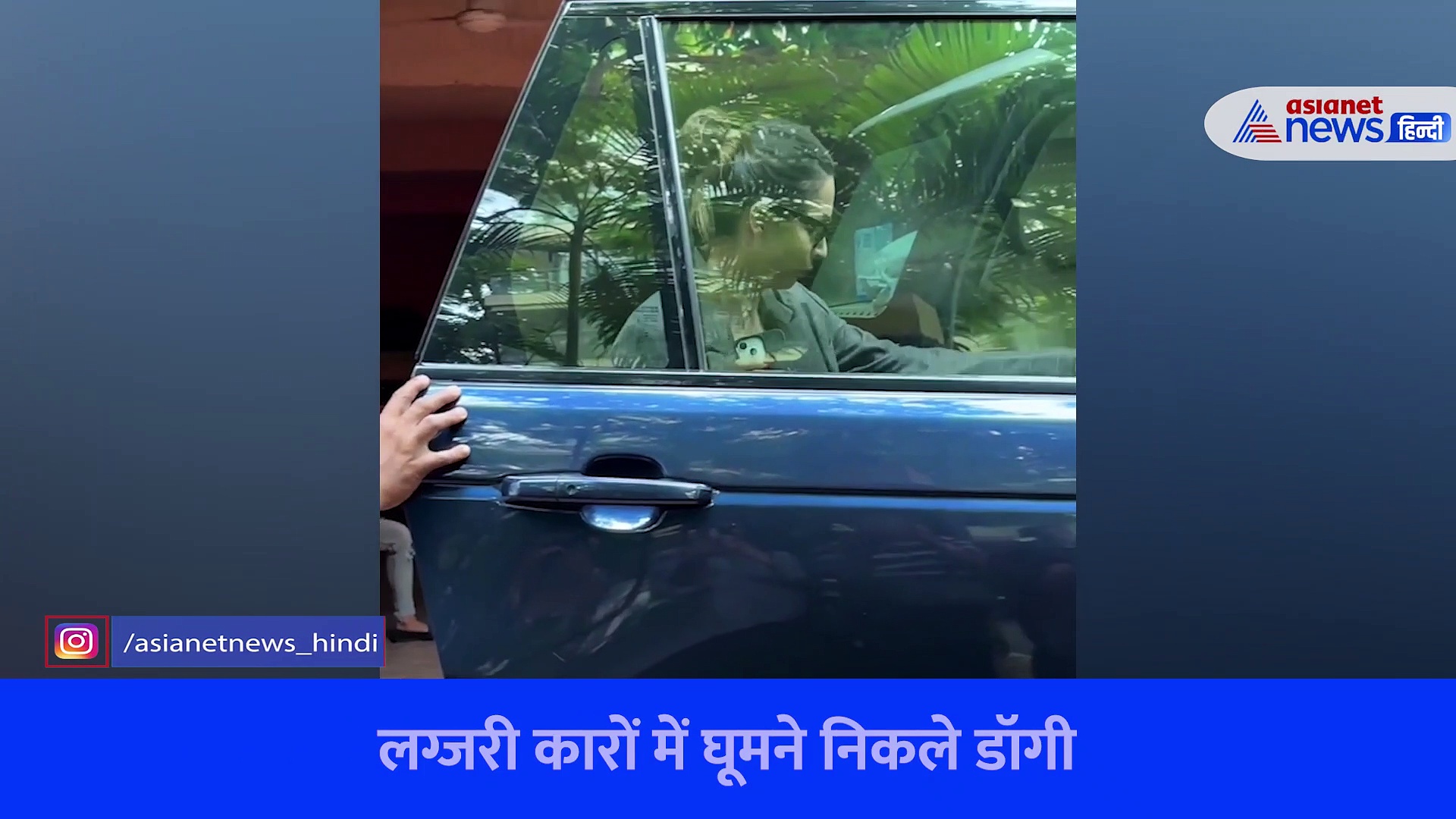 मलाइका अरोड़ा या हिमांश कोहली किसका डॉगी है ज्यादा क्यूट, वीडियो में देखें कुत्तों का राजसी ठाठ