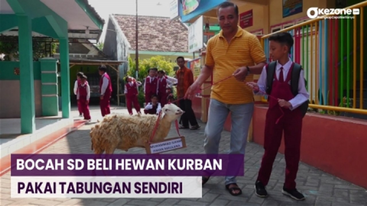 Kisah Bocah Kelas 5 SD Beli Kambing Kurban Pakai Uang Tabungan Sendiri