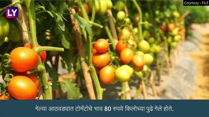Tomato Price Hike: टोमॅटोच्या दरात वाढ, दर 100 च्या पार पोहोचणार, इतर भाज्याही महागल्या