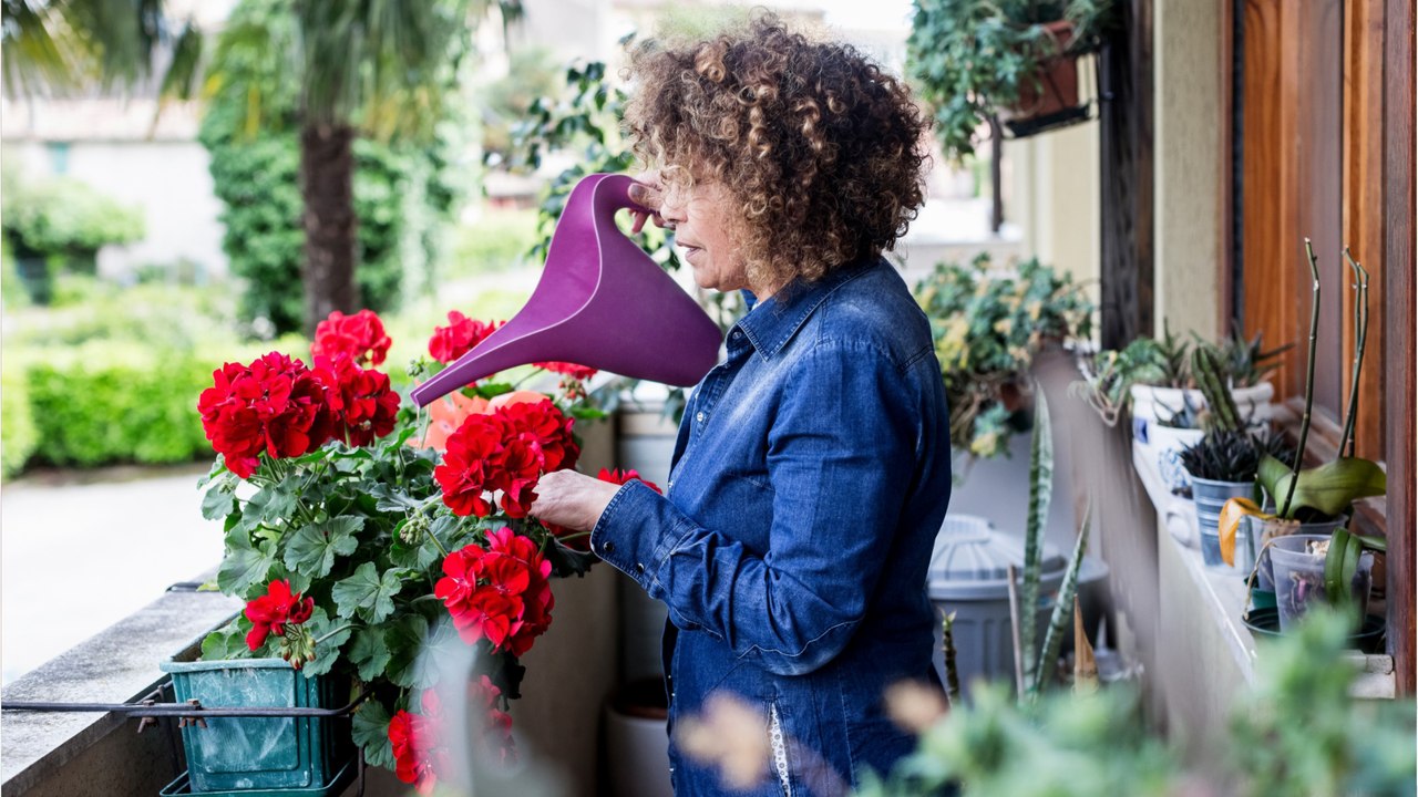 Die drei wichtigsten Tipps für Balkonblumen