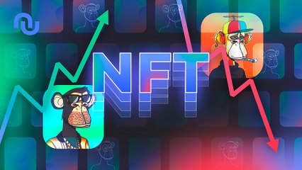 NFT : La chute spectaculaire après l'ascension fulgurante 🚨