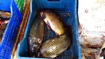 Beyşehir Gölü'nde av sezonu açıldı, balıklar tezgahları süsledi