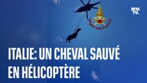 Un cheval sauvé en hélicoptère par des pompiers italiens