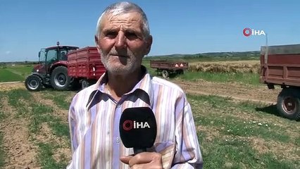 Edirne'de Buğday Hasadı Başladı
