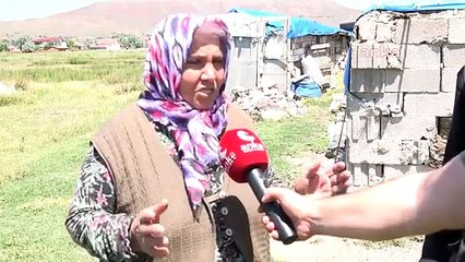 Aksaray'da Kurbanlık Hayvanları Çalındı