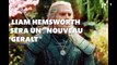The Witcher : Liam Hemsworth sera un 