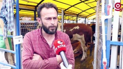 İstanbul'daki kurbanlık satışları durgun... Satıcıya göre kurbanlıklar ucuza gidiyor, alıcıya göre çok pahalı