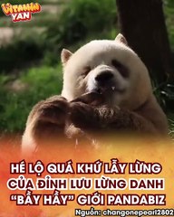 Hé lộ bí mật động trời của anh Bảy bầy hầy lừng danh giới pandabiz