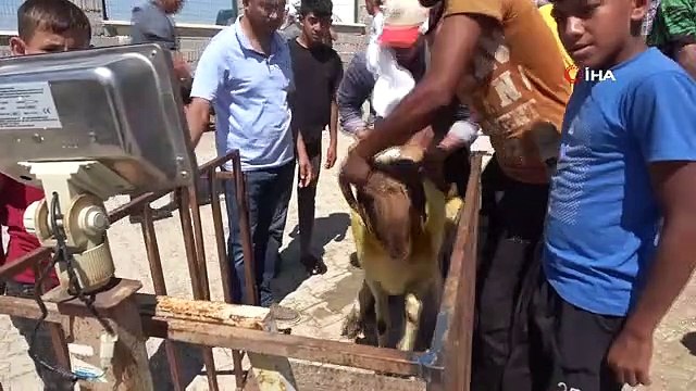 Kilis'te kurban pazarlarında arefe günü yoğunluğu