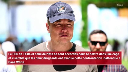 Le président de l’UFC affirme que le combat entre Elon Musk et Mark Zuckerberg est ‘très sérieux’