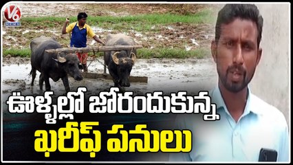 Farmers Fires On Government For Not Giving Free Seeds And Loans | V6 News