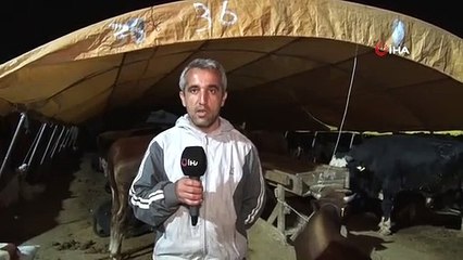 Les nuits sont dures dans les bazars de qurban à Ankara
