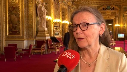 Pesticides, mercure, terres rares : les cheveux des sénateurs contaminés
